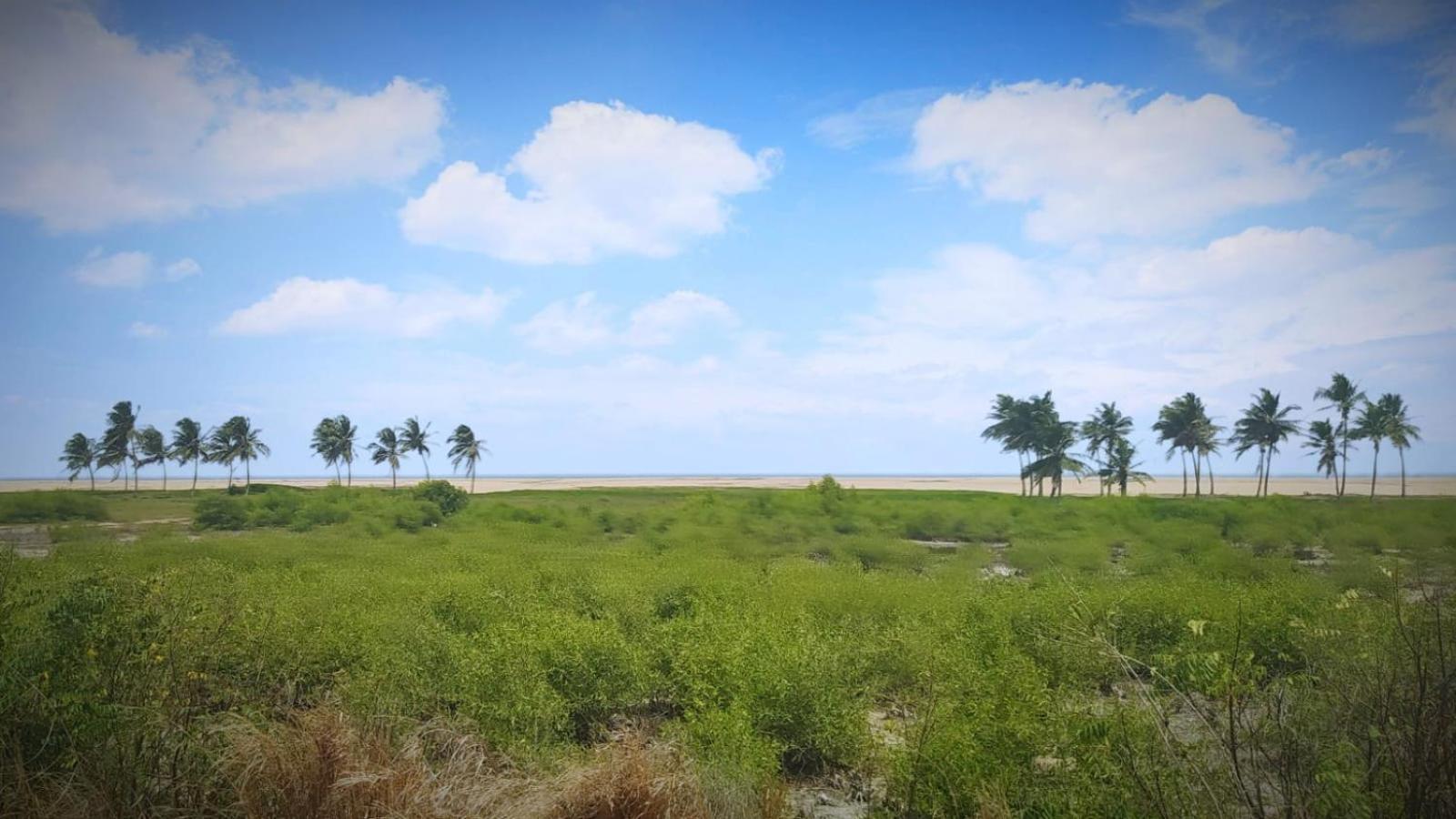 A&Y Wild Camp Ghana Keta Zewnętrze zdjęcie