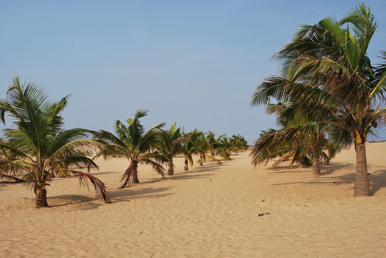 A&Y Wild Camp Ghana Keta Zewnętrze zdjęcie