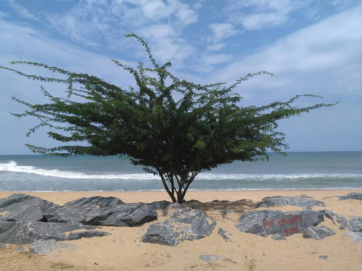 A&Y Wild Camp Ghana Keta Zewnętrze zdjęcie